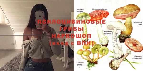мяу мяу мука Приозерск
